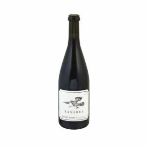 Ayres 2018 Gamay Noir Chehalem Mountains 750ml