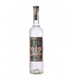Single Cask Nation Fidencio 9 Year