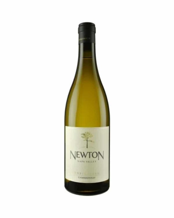 Newton