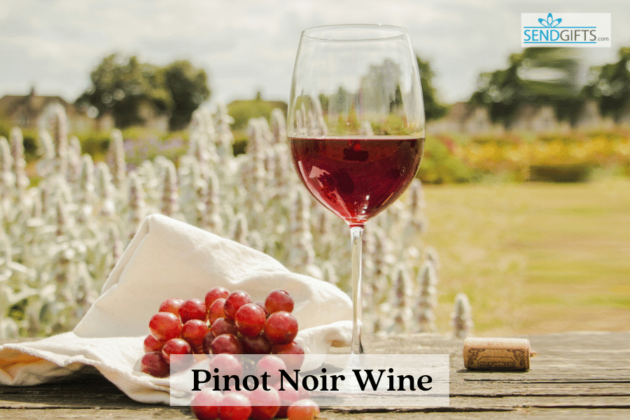 Pinot Noir Wine
