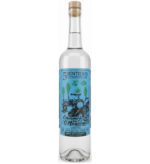 5 Sentidos Ensamble de 6 Magueyes